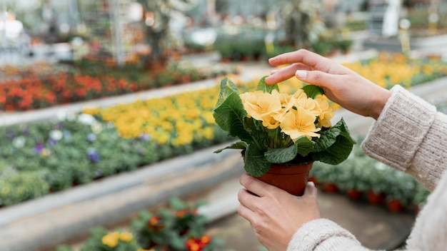 Foto gratuita donna del primo piano che tiene un fiore in vaso