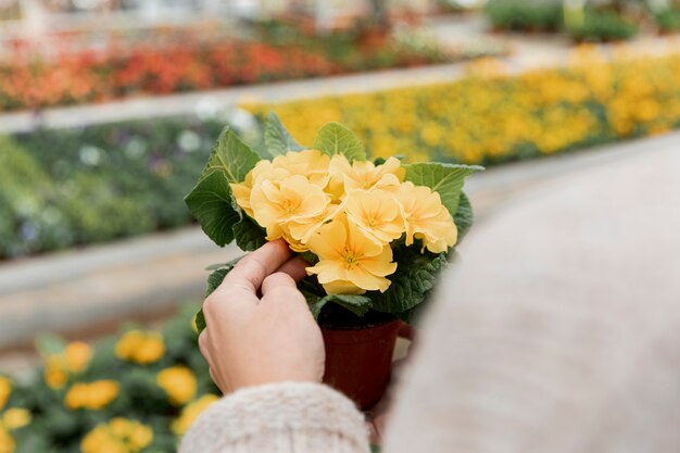 鍋に花を持ってクローズアップ女性