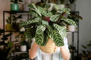 Foto gratuita close up woman holding vaso di fiori