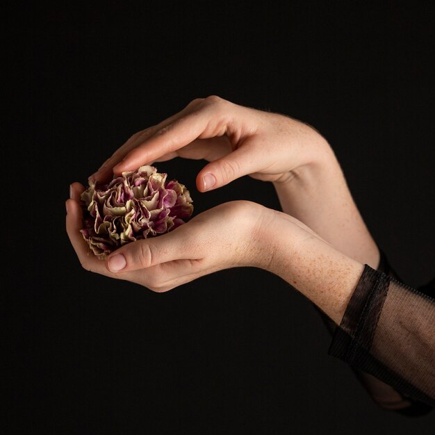 Close-up woman holding a flower