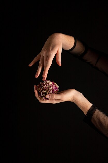 Close-up woman holding a flower