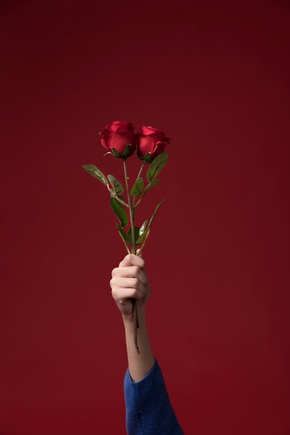 Close-up woman holding flowers