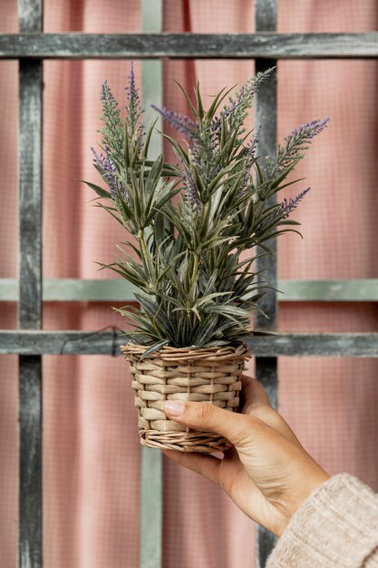 鍋に植物を保持しているクローズアップの女性