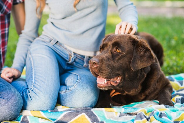 Close-up of a woman patting her dog in garden