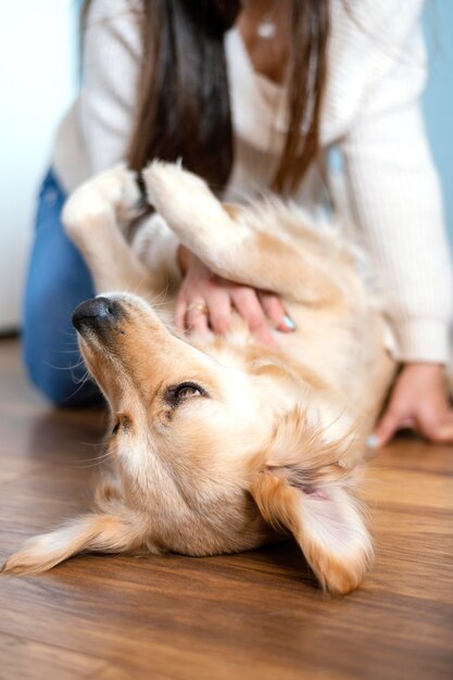 Close up woman petting dog