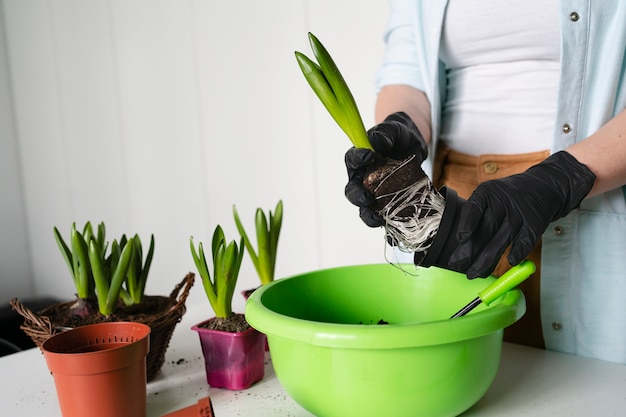 球根を植える女性をクローズアップ