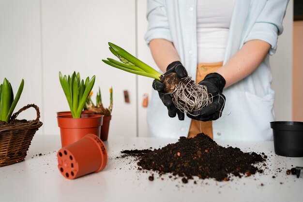 Close up woman planting bulbs