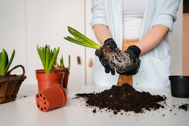 球根を植える女性をクローズアップ