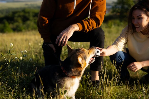 犬と遊ぶ女性をクローズアップ