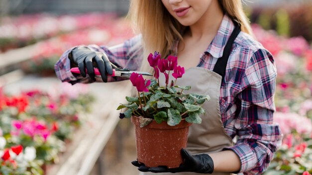 Close-up woman removing extra flower leaves