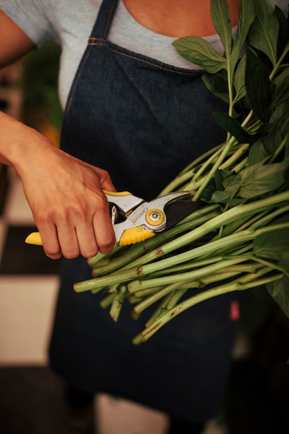 Close-up of a woman's hand cutting stem of plants with secateurs