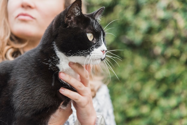 クローズアップ、女の、手、黒、猫