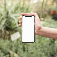 Foto gratuita primo piano del cellulare della tenuta della mano di una donna con lo schermo bianco in bianco
