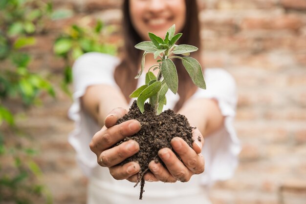 Close-up of a woman's hand holding seedling