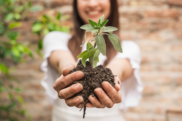 Close-up of a woman's hand holding seedling