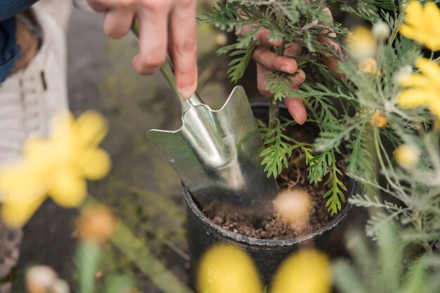 ポットに植物を植えている間、手シャベルを使用して女性の手のクローズアップ