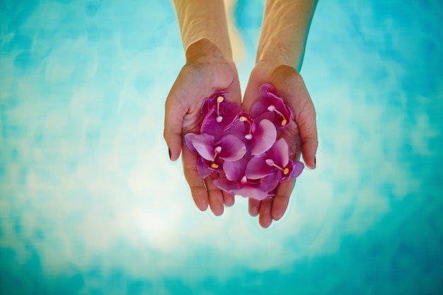 Close-up of woman's hands with orchids