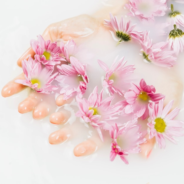 Close-up of a woman's wet hand with pink flowers in clear white water