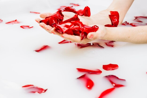 Close-up of a woman's wet hand with red flower petals in spa bath with milk