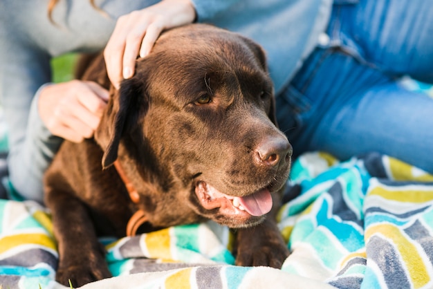 Foto gratuita primo piano di una donna seduta con il suo cane