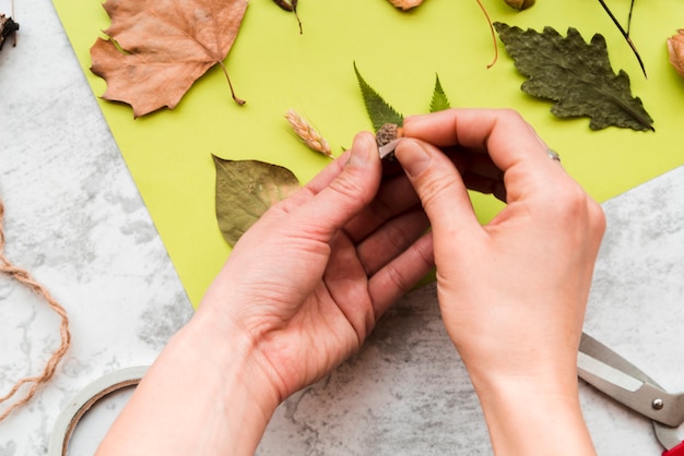 Free photo close-up of woman sticking the leaves on green paper