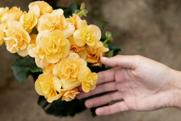 黄色の花に触れるクローズアップ女性