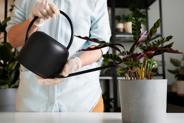 Close up woman watering plant pot