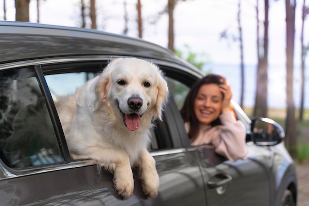 車の中で犬と女性をクローズアップ