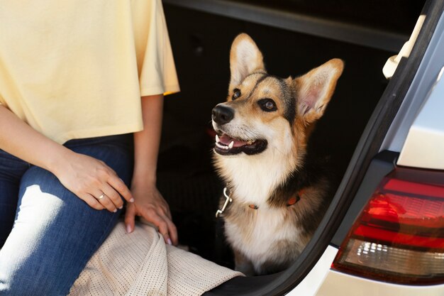 犬と女性をクローズアップ