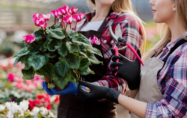 Close-up women holding flowers pot