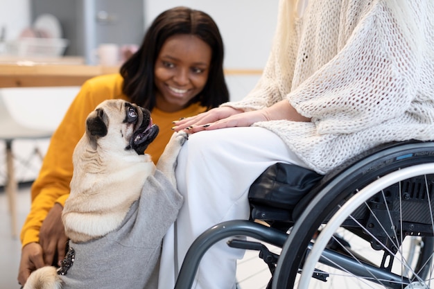 Close up women petting cute dog