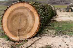 Foto gratuita close-up di legno per il fuoco