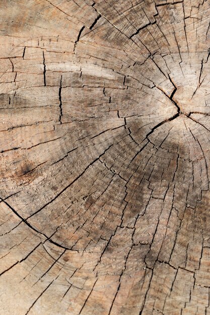 Close up wood texture background