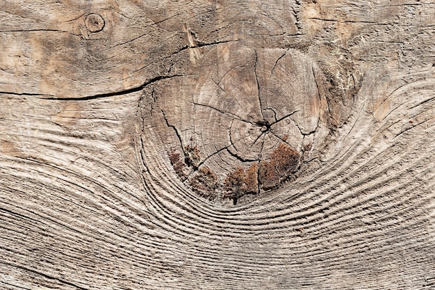 Close up wood texture background