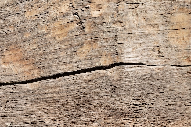 Close up wood texture background