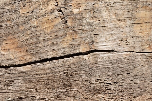 Close up wood texture background