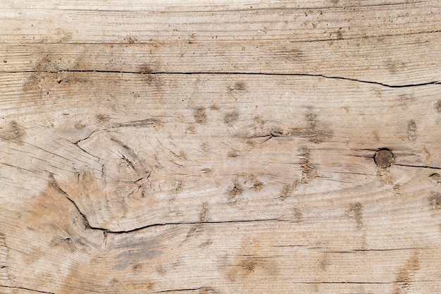 Free photo close up wood texture background