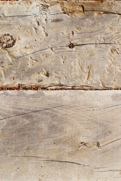 Close up wood texture background