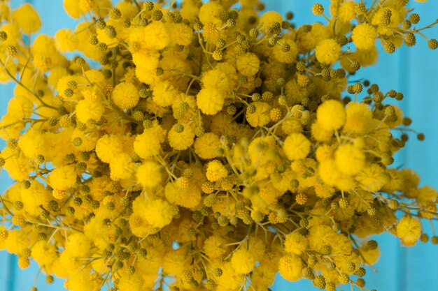 노란 꽃의 클로즈업