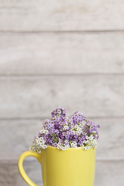 Close-up of yellow mug with flowers