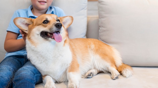 クローズアップの少年ふれあい家族の犬