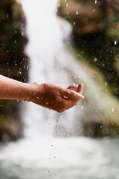 Close up on young female hands in nature