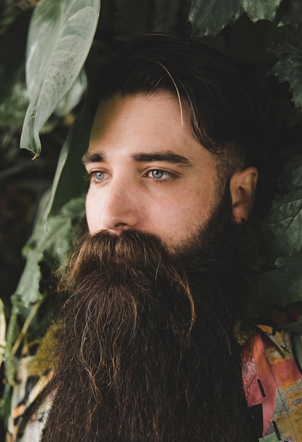 Close-up of young man with long bearded looking away