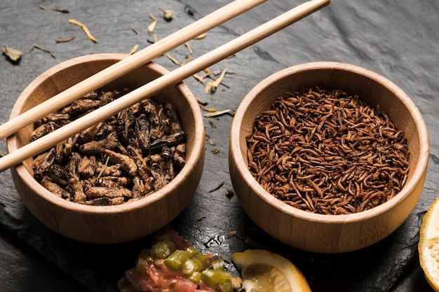 Close view edible insects with sticks