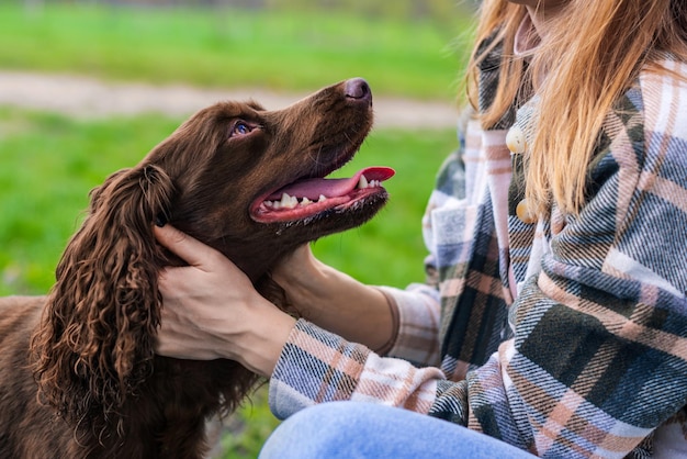 Owner Petting German Spaniel: Free Download