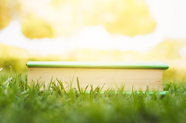 Closed book on grass at sunlight