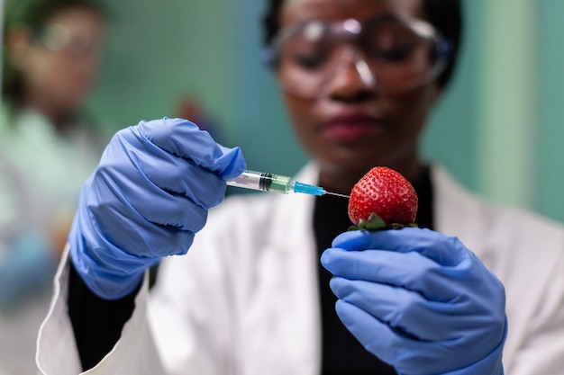 Free photo closeup african american scientist injecting strawberry with chemical pesticides using medical syringe during farming experiment. biochemist working in hospital laboratory testing organic fruits