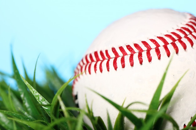 closeup baseball in grass