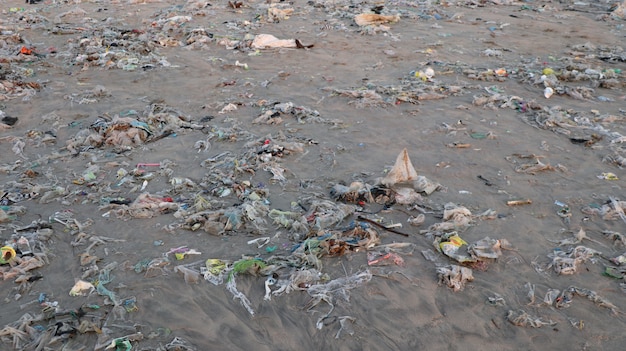 Closeup of  a bea\ch shore washed up with garbage