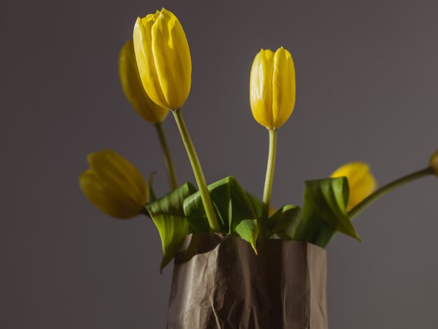 Closeup of beautiful yellow tulips in a paper bag